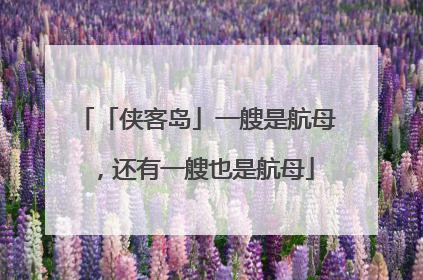 「侠客岛」一艘是航母，还有一艘也是航母