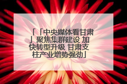 「中央媒体看甘肃」聚焦集群建设 加快转型升级 甘肃支柱产业增势强劲