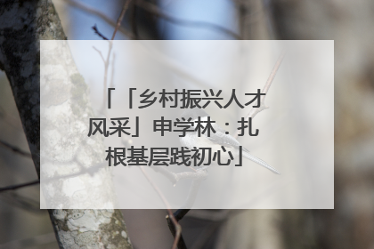 「乡村振兴人才风采」申学林：扎根基层践初心