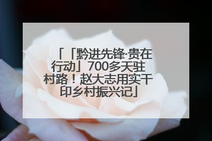 「黔进先锋·贵在行动」700多天驻村路！赵大志用实干印乡村振兴记