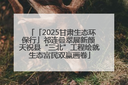 「2025甘肃生态环保行」祁连叠翠展新颜 天祝县“三北”工程绘就生态富民双赢画卷