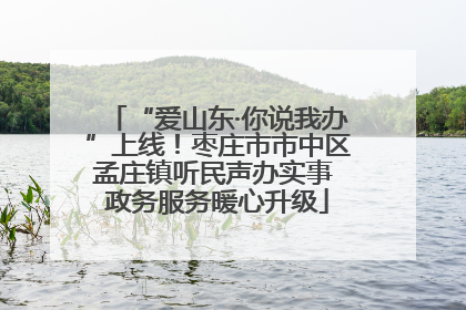 “爱山东·你说我办”上线！枣庄市市中区孟庄镇听民声办实事 政务服务暖心升级