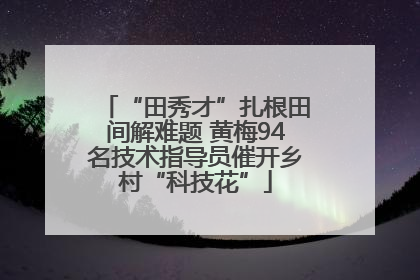 “田秀才”扎根田间解难题 黄梅94名技术指导员催开乡村“科技花”