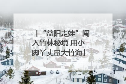“益阳走娃”闯入竹林秘境 用小脚丫丈量大竹海