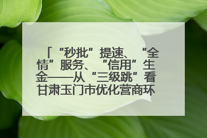“秒批”提速、“全情”服务、“信用”生金——从“三级跳”看甘肃玉门市优化营商环境的进阶之路