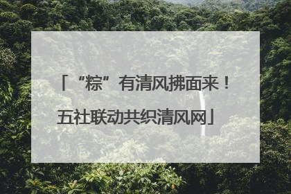 “粽”有清风拂面来！五社联动共织清风网