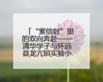 “紫信封”里的双向奔赴——清华学子与怀远县龙亢镇实验小学学生暖心书信之约
