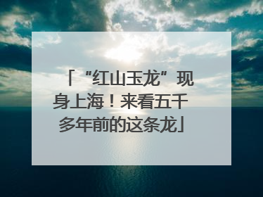 “红山玉龙”现身上海！来看五千多年前的这条龙