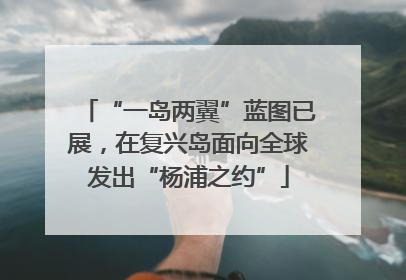 “一岛两翼”蓝图已展，在复兴岛面向全球发出“杨浦之约”