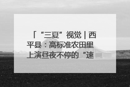 “三夏”视觉｜西平县：高标准农田里上演昼夜不停的“速度与激情”
