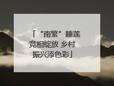 “南繁”睡莲竞相绽放 乡村振兴添色彩