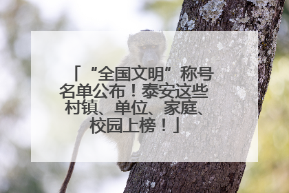 “全国文明”称号名单公布！泰安这些村镇、单位、家庭、校园上榜！
