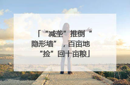 “减垄”推倒“隐形墙”，百亩地“捡”回十亩粮