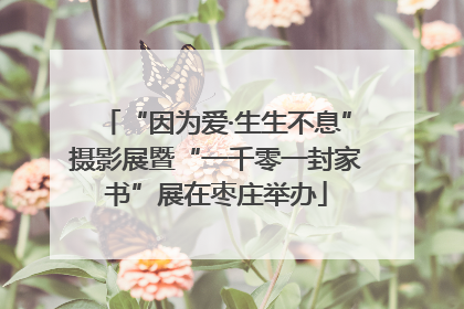 “因为爱·生生不息”摄影展暨“一千零一封家书”展在枣庄举办