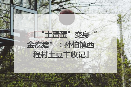 “土蛋蛋”变身“金疙瘩”：孙伯镇西程村土豆丰收记