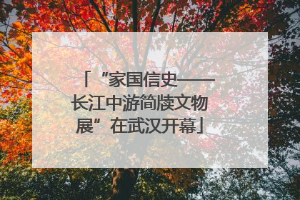 “家国信史——长江中游简牍文物展”在武汉开幕