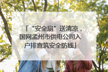 “安全扇”送清凉，国网孟州市供电公司入户排查筑安全防线
