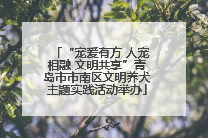 “宠爱有方 人宠相融 文明共享”青岛市市南区文明养犬主题实践活动举办