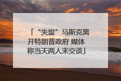 “失望”马斯克离开特朗普政府 媒体称当天两人未交谈