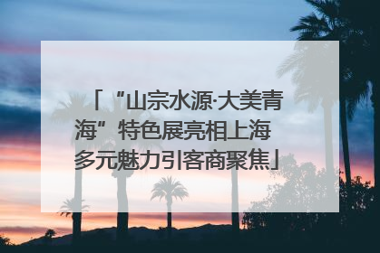“山宗水源·大美青海”特色展亮相上海 多元魅力引客商聚焦