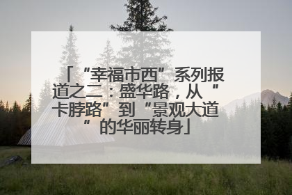 “幸福市西”系列报道之二：盛华路，从“卡脖路”到“景观大道”的华丽转身