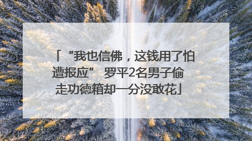 “我也信佛，这钱用了怕遭报应” 罗平2名男子偷走功德箱却一分没敢花