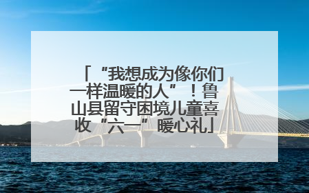 “我想成为像你们一样温暖的人”！鲁山县留守困境儿童喜收“六一”暖心礼