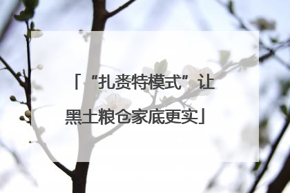 “扎赉特模式”让黑土粮仓家底更实