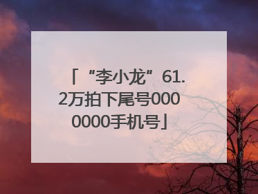 “李小龙”61.2万拍下尾号0000000手机号