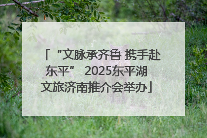 “文脉承齐鲁 携手赴东平” 2025东平湖文旅济南推介会举办