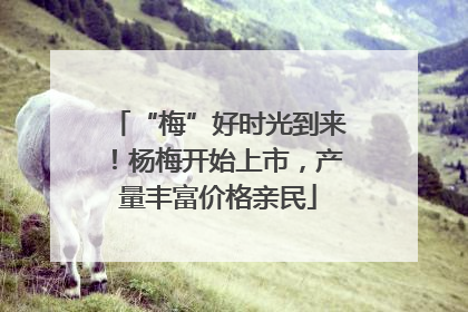 “梅”好时光到来！杨梅开始上市，产量丰富价格亲民