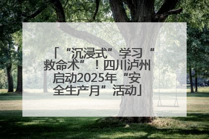 “沉浸式”学习“救命术”！四川泸州启动2025年“安全生产月”活动