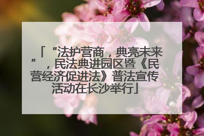 “法护营商，典亮未来”，民法典进园区暨《民营经济促进法》普法宣传活动在长沙举行