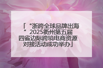 “浙跨全球品牌出海”2025衢州第五届四省边际跨境电商资源对接活动成功举办