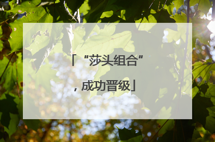 “莎头组合”，成功晋级