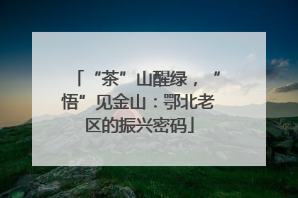 “茶”山醒绿，“悟”见金山：鄂北老区的振兴密码