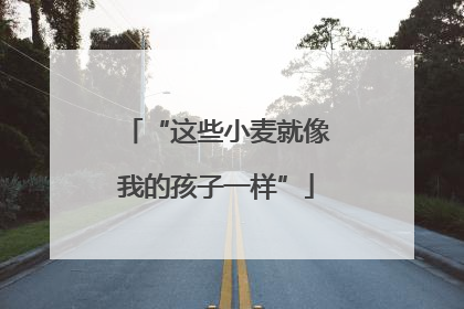 “这些小麦就像我的孩子一样”