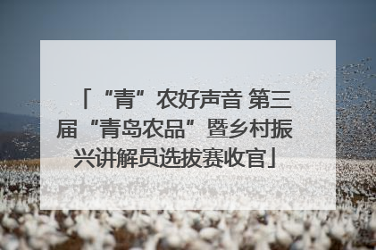 “青”农好声音 第三届“青岛农品”暨乡村振兴讲解员选拔赛收官