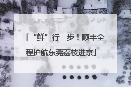 “鲜”行一步！顺丰全程护航东莞荔枝进京