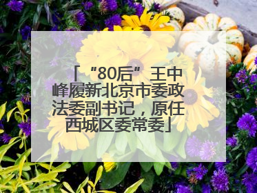 “80后”王中峰履新北京市委政法委副书记，原任西城区委常委