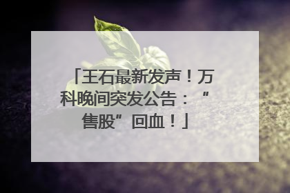 王石最新发声！万科晚间突发公告：“售股”回血！