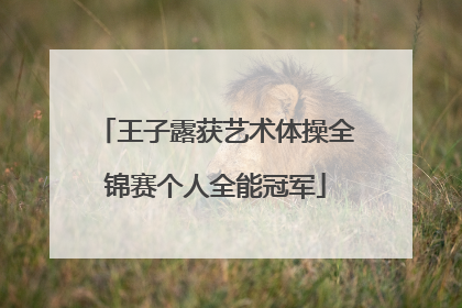 王子露获艺术体操全锦赛个人全能冠军