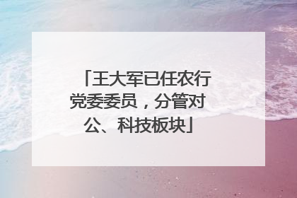 王大军已任农行党委委员，分管对公、科技板块