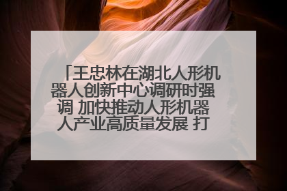 王忠林在湖北人形机器人创新中心调研时强调 加快推动人形机器人产业高质量发展 打造具有全国影响力的研发创新基地