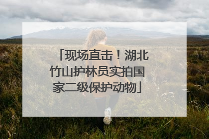 现场直击！湖北竹山护林员实拍国家二级保护动物