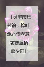 灵宝市焦村镇：粽叶飘香传孝意 志愿温情暖夕阳
