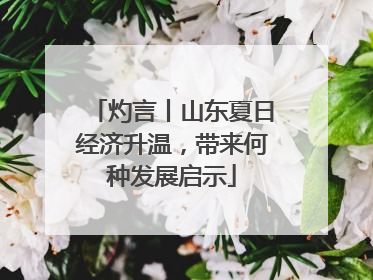 灼言丨山东夏日经济升温，带来何种发展启示