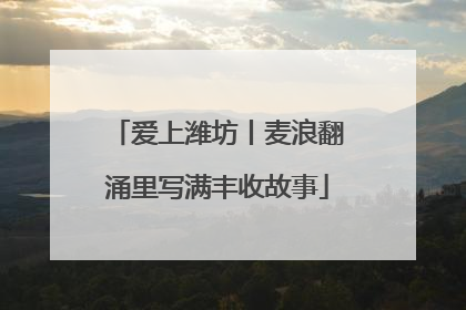 爱上潍坊丨麦浪翻涌里写满丰收故事