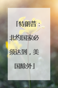 特朗普：北约国家必须达到，美国除外