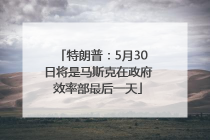 特朗普：5月30日将是马斯克在政府效率部最后一天
